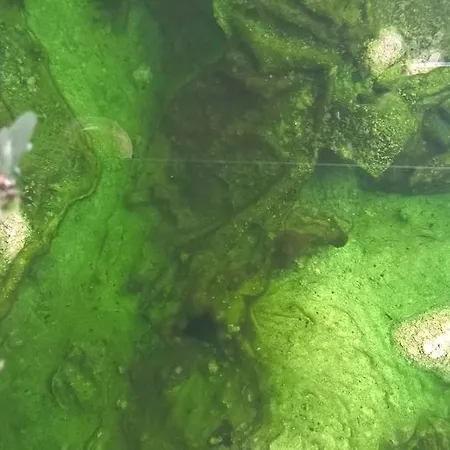 Hotel Terme Belvedere