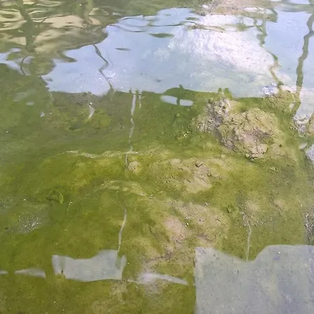 酒店 丽城温泉酒店 阿巴诺泰尔梅