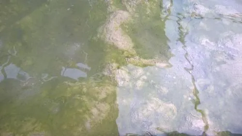 فندق Terme Belvedere أبانو تيرمي