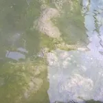 Отель Terme Belvedere Абано-Терме
