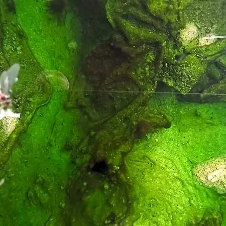 Terme Belvedere