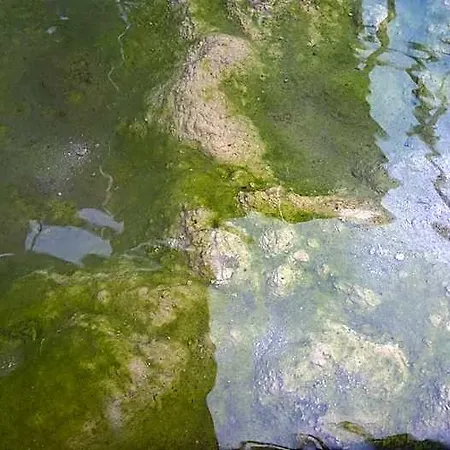 Terme Belvedere Abano Terme